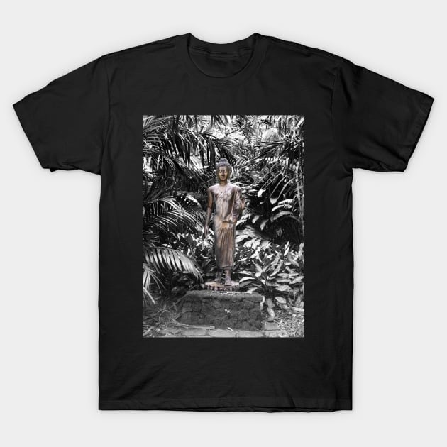 Walking Thai Buddha in Hawaii T-Shirt by DebraCasey